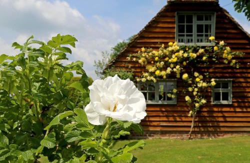 Tenterden House | Prospect Cottage
