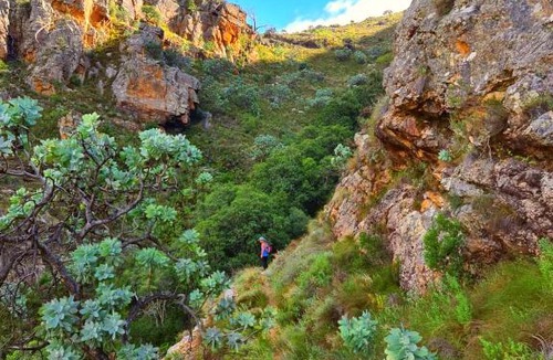 Clanwilliam Apartment | Protea Chalet