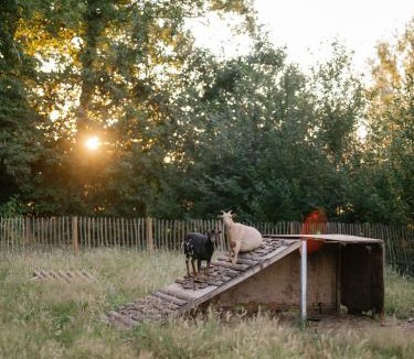 Laarne Ski Chalet | Prullenbos Tiny House Nutz Nest