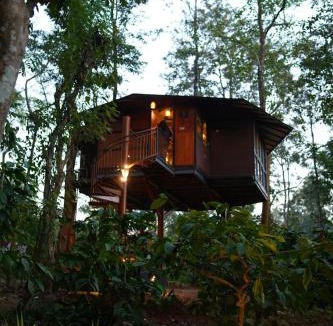 Kattikkulam Resort | Pugmarks Jungle Resort
