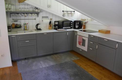 Trins Apartment | Pumafalle