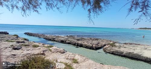 Punta Prosciutto House | Punta Grossa - Porto Cesareo