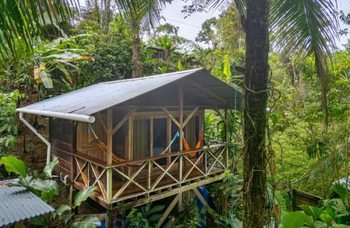 Isla Bastimentos Cabin | Pure Roots