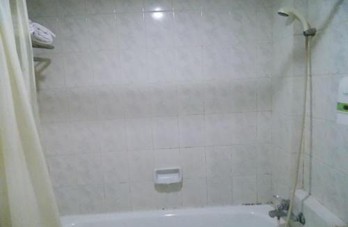 Rawasari Hotel | Puri Mega Hotel