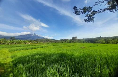 Cigugur Hotel | Purnama Mulia Hotel