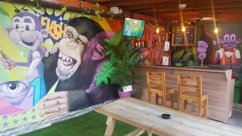 El Poblado Hostel | Purple Monkey Hostel