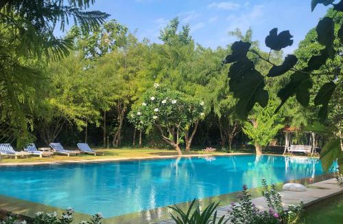 Pushkar Resort | PushkarOrganic - Lux farm resort with pool