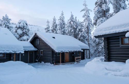 Pyhatunturi Ski Chalet | Pyhänäkyy D - cabin with a view to the slopes