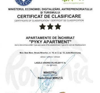 Baia Mare Apartment | Pyky Apartment