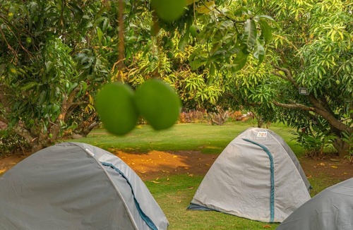 Ramanagara Other | Q Mango Resort