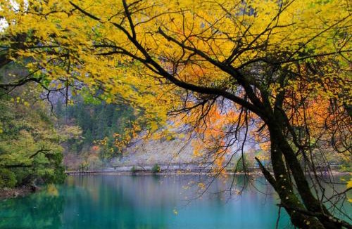 Jiuzhaigou Hotel | Qinghe Courtyard Jiuzhaigou QINGHE Hot Spring Luxury Private Hot Spring Villa