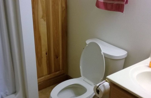 Merrillan Cabin | Quaint cabin with AC in charming Merrillan Wi