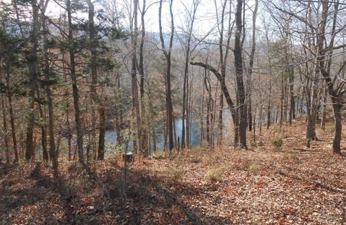 Sparta House | Quaint efficiency Coke Cabin located near Cane Crk