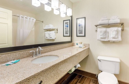 Fort Collins Hotel | Quality Inn & Suites University Fort Collins