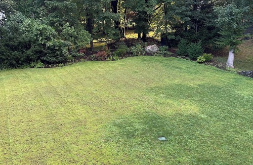 Waban House | Quarter Finals Paradise with theatre and gym