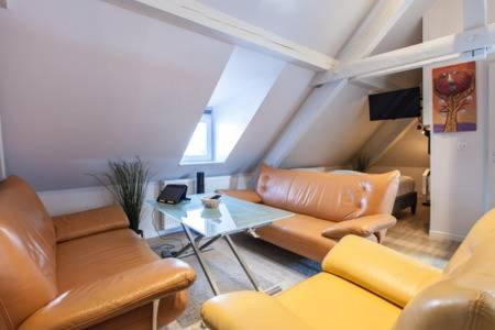 Petite-France Apartment | Quartier historique (hypercentre)