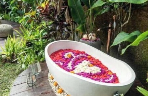 Selat Apartment | Queen House