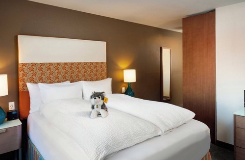 University District Hotel | Queen Pineapple Getaway, Sweet Treats, Near University Village, UW Close