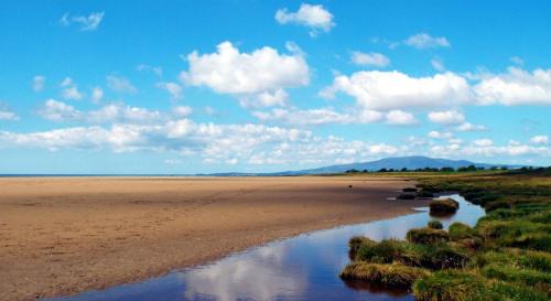 Annan Other | Queensberry Bay Essential Clover Caravan Pet