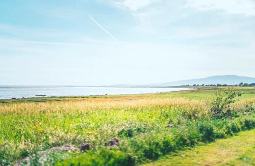 Annan Other | Queensberry Bay Essential Clover Caravan Pet