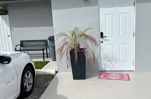 West Park Apartment | Quiet and private apartment in Hollywood!