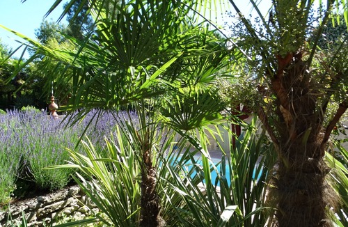 Coubeyrac House | Quiet and quiet, private pool, near St Emilion and Dordogne River