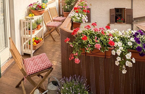 Spormaggiore Apartment | Quiet apartment 10 minutes from Andalo