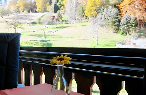 Bad Wildbad Apartment | Quiet Black Forest Apartment with Forest View, Large Garden, Private Balcony, and Wi-Fi