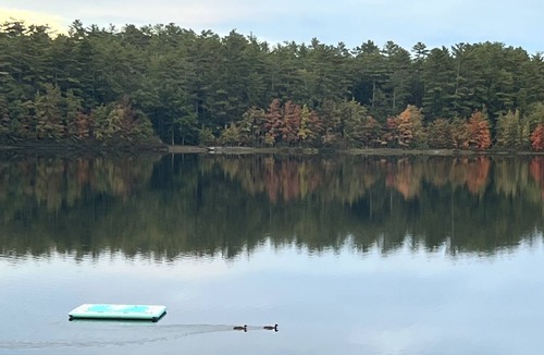 Acton Cabin | Quiet Lake House