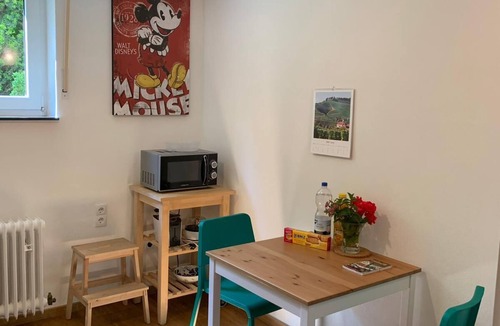 Gundelfingen Apartment | Quiet non-smoking vacation apartment w beautiful garden in Freiburg-Gundelfingen
