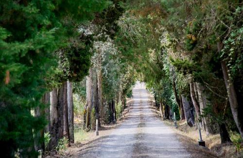 Nossa Sra. da Piedade House | Quinta da Alcaidaria Mor