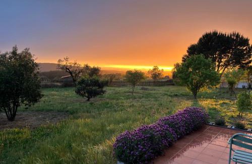 Tabua Bed & Breakfast | Quinta da Barroca do Cabo