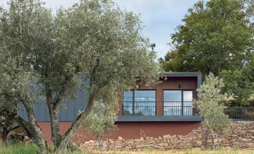 Tabuaco Villa | Quinta da Cabrida - Casa dos Senhores - Douro