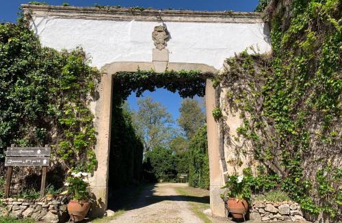 Alpiarca House | Quinta da Torre