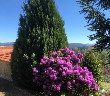 Cinfaes House | Quinta de Argens
