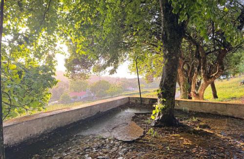 Reveladas House | Quinta do Carril