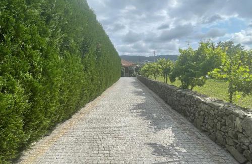 Braga House | Quinta do Sobrado