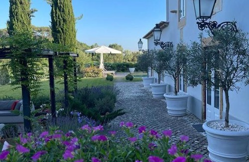 Tomar Villa | Quinta dos Pegões