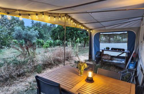 Serta Other | Quinta Lima