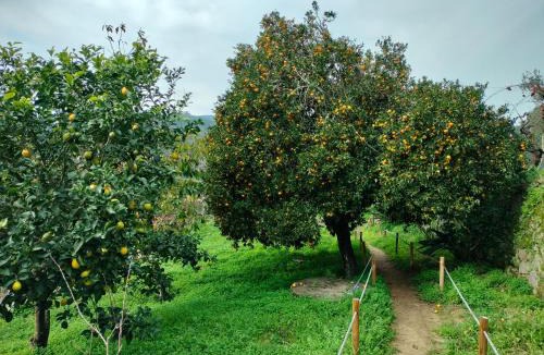 Ribadouro House | Quinta Vale do Cabo