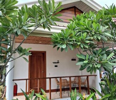 Basdiot Resort | Quo Vadis Dive Resort