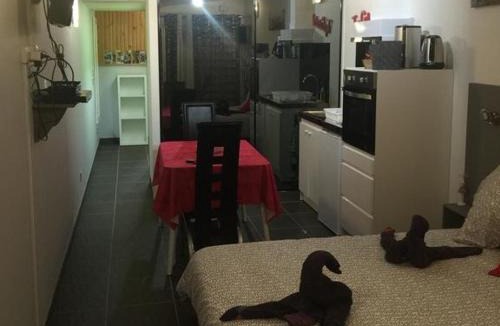 La Roche-sur-Yon Apartment | Résidence Les Alizés 'JACCUZI SAUNA PISCINE en plein centre ville"