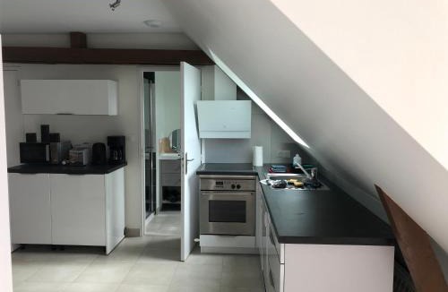 Saint-Malon-sur-Mel Apartment | Résidence Merlin Appart des Druides