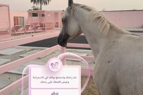 Al Rahba Ski Chalet | R7 resort