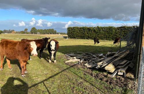 Sefton Bed & Breakfast | Ra-ata Farm