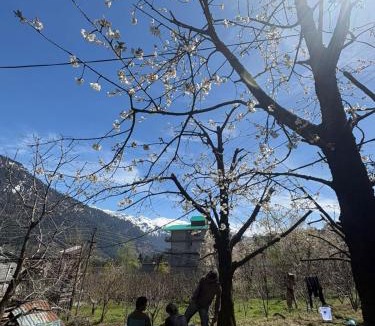 Old Manali Hostel | Raahi Roots