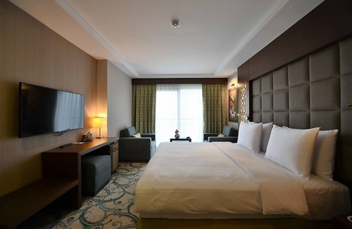 Altınordu Hotel | Radisson Blu Hotel, Ordu