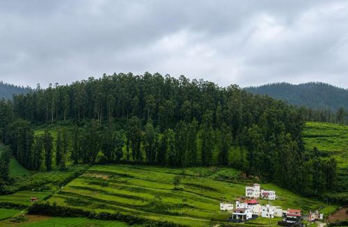 Ooty House | Raghav Chandra Homes