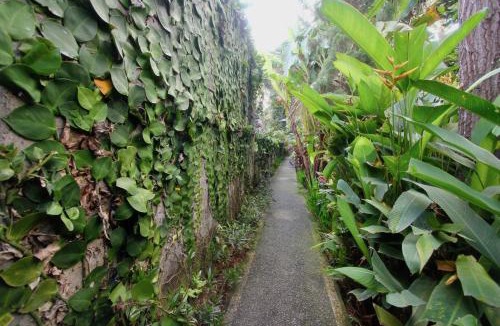 Ubud City-Centre House | Rahayu House Ubud