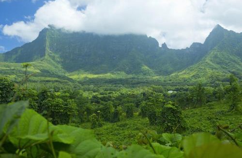 Teahupoo Apartment | RAIATEA - Studio Tenape